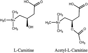 N-Acetyl L-Carnitine